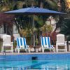 10FT Patio Umbrella, Outdoor Table Umbrella with Push Button Tilt and Crank, UV Protection Waterproof Market Sun Umbrella with 8 Sturdy Ribs for Garde